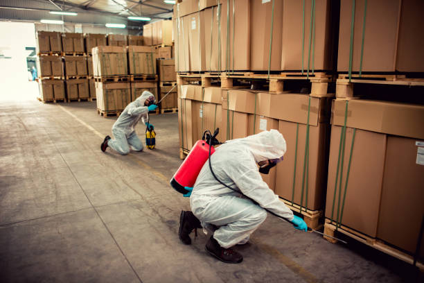 Best Affordable Pest Control Services  in Lake Murray Of Richland, SC