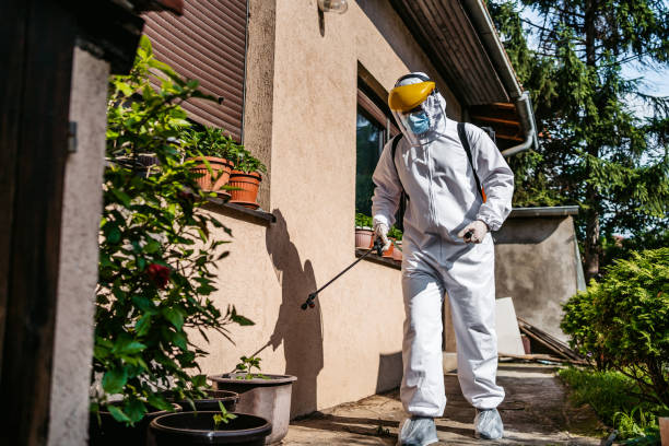 Best Insect Control  in Lake Murray Of Richland, SC