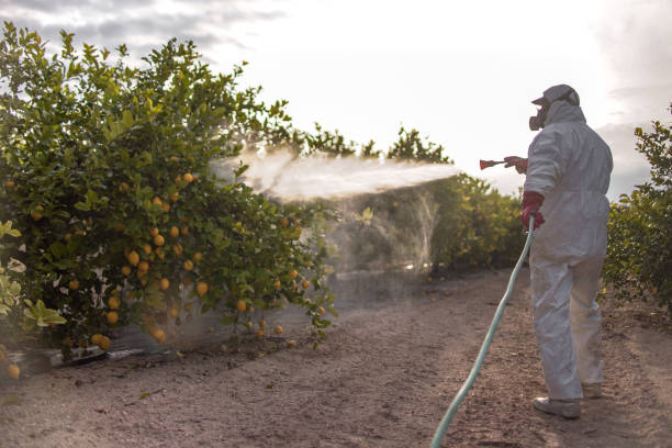 Pest Control Cost in Lake Murray Of Richland, SC