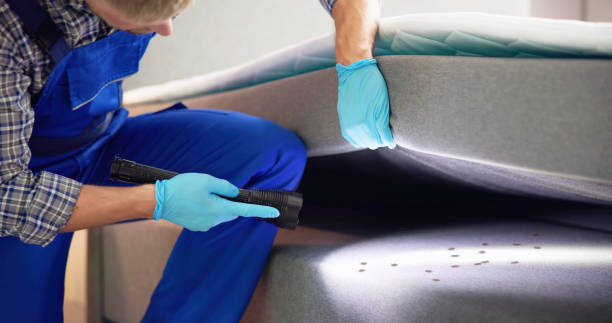Best Flea Control Services  in Lake Murray Of Richland, SC