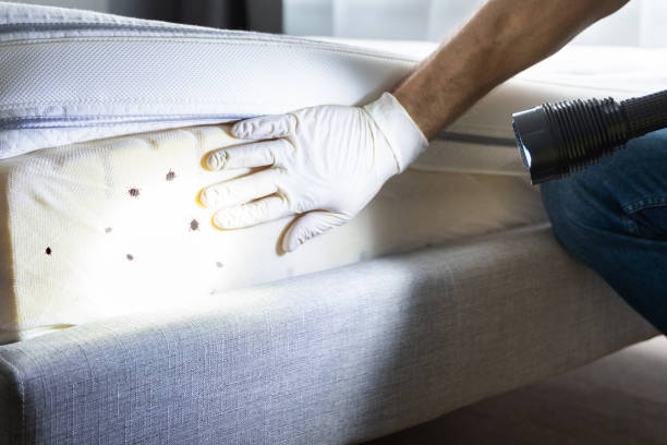 Best Best Pest Control Companies  in Lake Murray Of Richland, SC