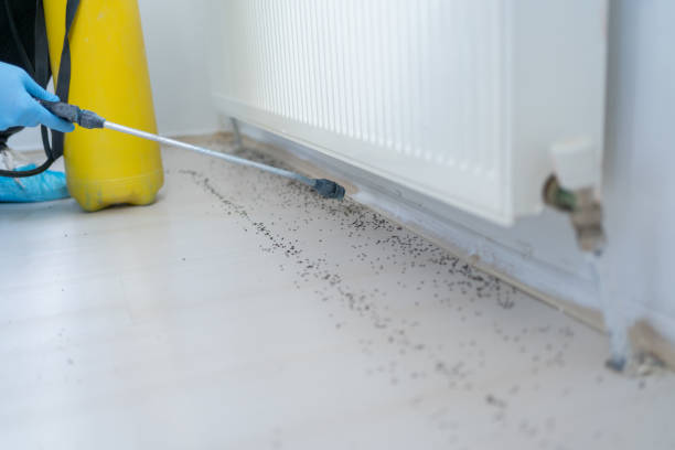 Best Pest Removal Services  in Lake Murray Of Richland, SC