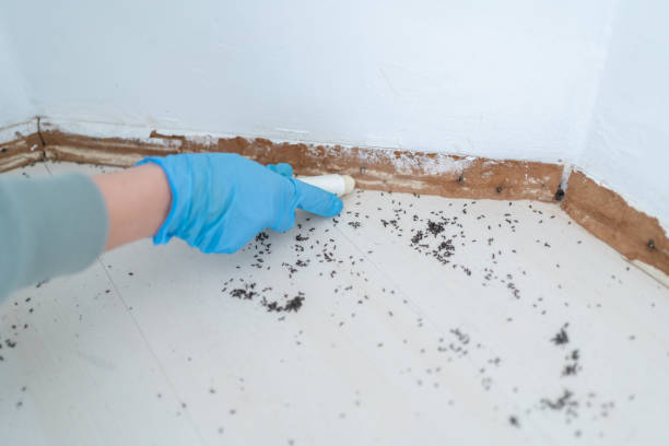Professional Pest Control in Lake Murray Of Richland, SC